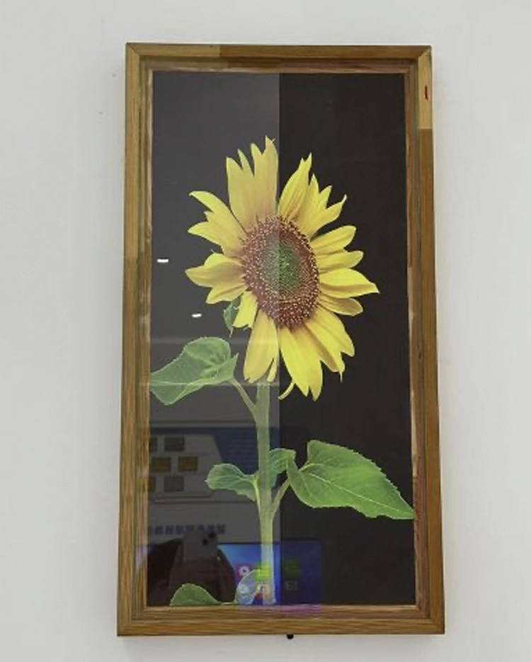 Special Coated Glass supplier Dubai UAE